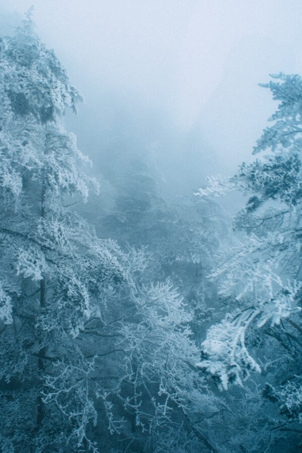 After our icy walk in cramp-ons, the cable car ride was disheartening with almost no visibility in the fog and icy mountain and evergreen tree views.
