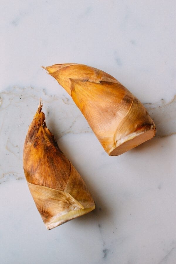 Winter Bamboo Shoot, by bmeteor.aiodimecu.cf