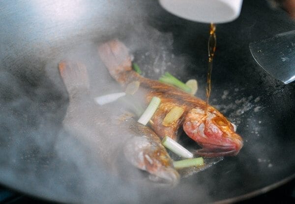 Chinese Braised Fish (Hongshao Yu), by bmeteor.aiodimecu.cf