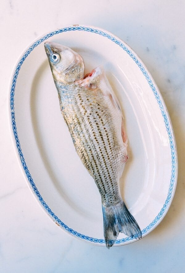 Steamed Whole Fish - Chinese Style, by bmeteor.aiodimecu.cf
