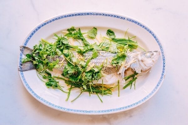Steamed Whole Fish - Chinese Style, by bmeteor.aiodimecu.cf