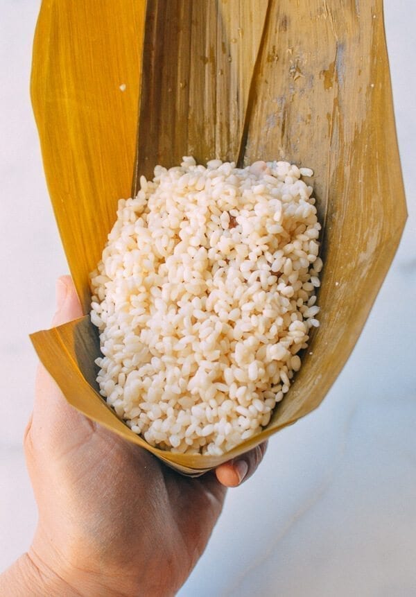Zongzi (Cantonese Style), by bmeteor.aiodimecu.cf