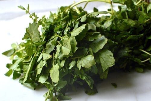 Chinese Vegetables: watercress, by bmeteor.aiodimecu.cf