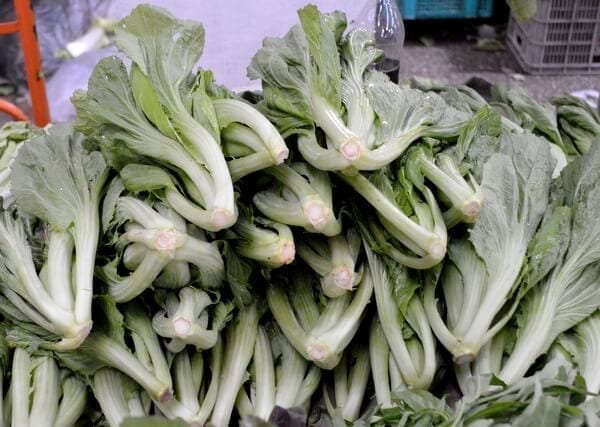 Chinese Vegetables: Chinese mustard greens, by bmeteor.aiodimecu.cf
