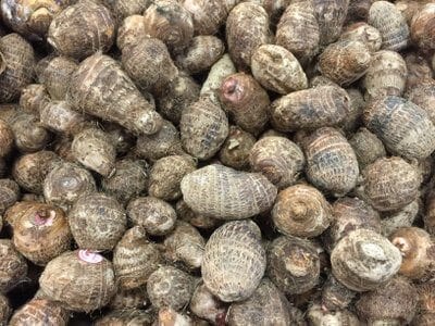 small taro