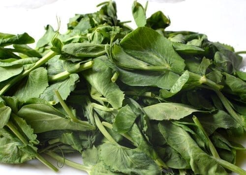 Chinese Vegetables: pea tips, by bmeteor.aiodimecu.cf