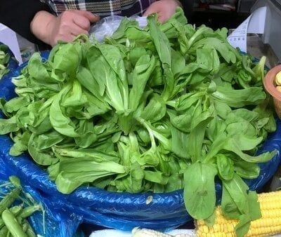Chinese Vegetables: tong ho - large leaf, by bmeteor.aiodimecu.cf