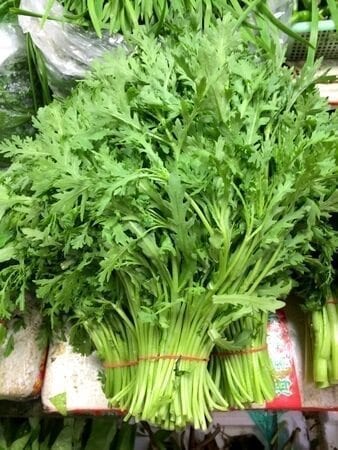 Chinese Vegetables: tong ho - medium leaf, by bmeteor.aiodimecu.cf