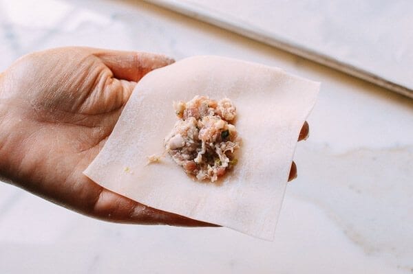 Fried Wontons, by bmeteor.aiodimecu.cf