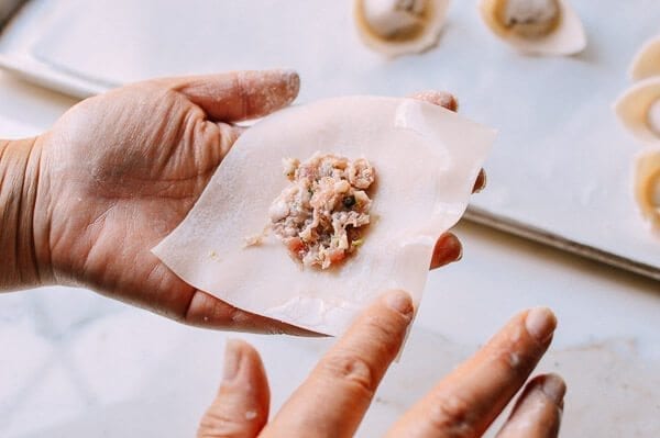 Fried Wontons, by bmeteor.aiodimecu.cf
