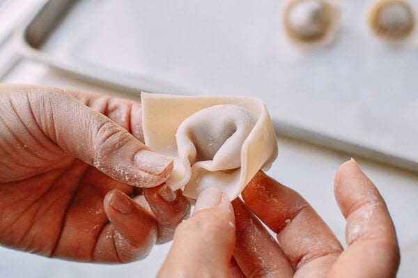 Fried Wontons, by bmeteor.aiodimecu.cf