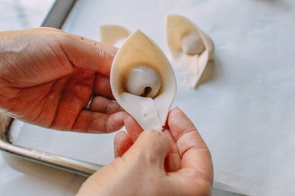 Fried Wontons, by bmeteor.aiodimecu.cf