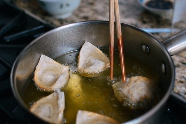 Fried Wontons, by bmeteor.aiodimecu.cf