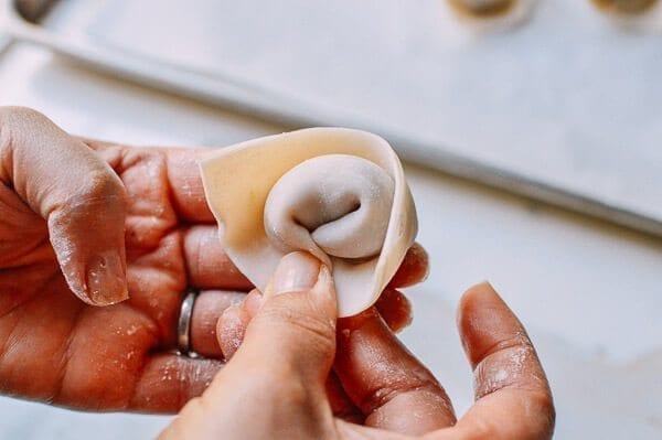 Sichuan Spicy Wontons, by bmeteor.aiodimecu.cf