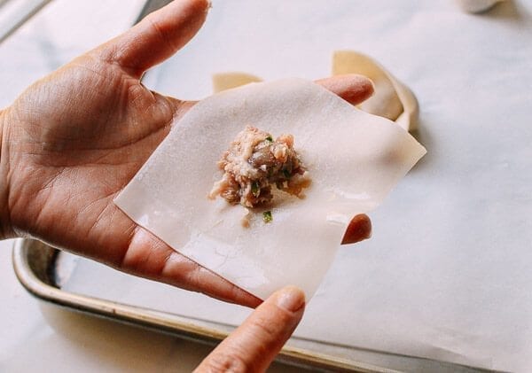Sichuan Spicy Wontons, by bmeteor.aiodimecu.cf