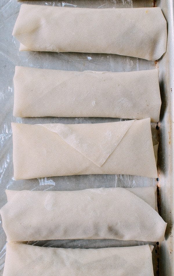 Assembled spring rolls on tray, bmeteor.aiodimecu.cf