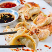 Vegetable Dumplings, by bmeteor.aiodimecu.cf