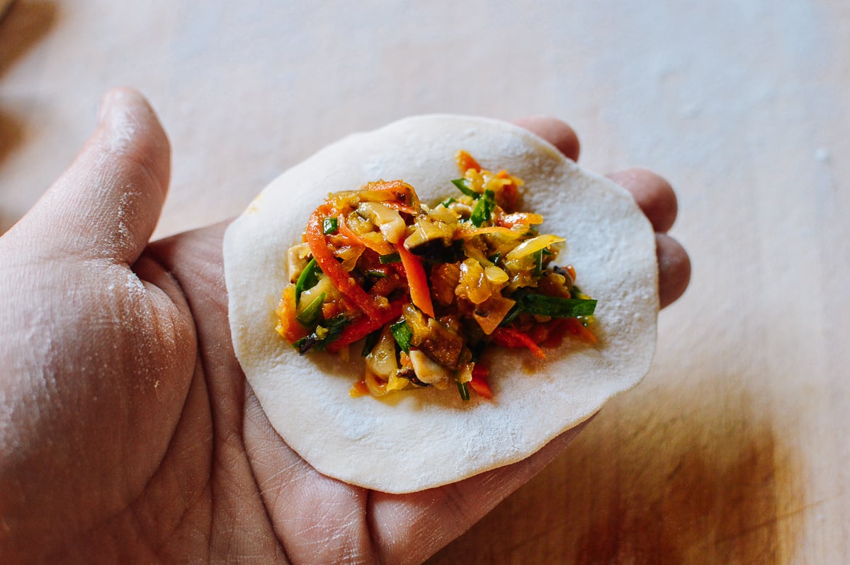 Vegetable Dumplings, by bmeteor.aiodimecu.cf