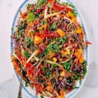 Rainbow Noodle Salad, by bmeteor.aiodimecu.cf