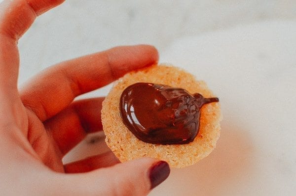 Chocolate Oatmeal Sandwich Cookies (Brussels Cookie Recipe), by bmeteor.aiodimecu.cf