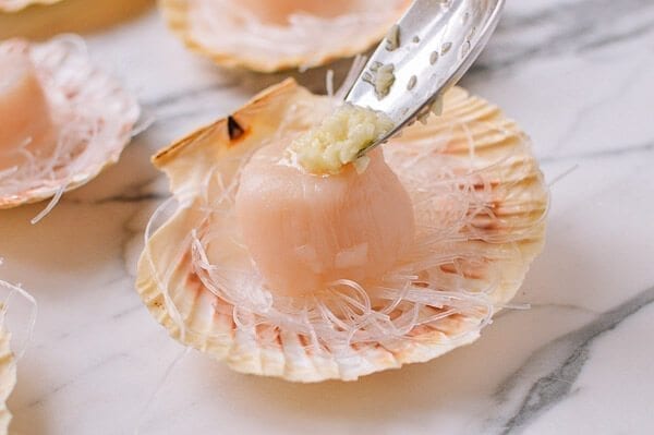 Steamed Scallops with Noodles, by bmeteor.aiodimecu.cf