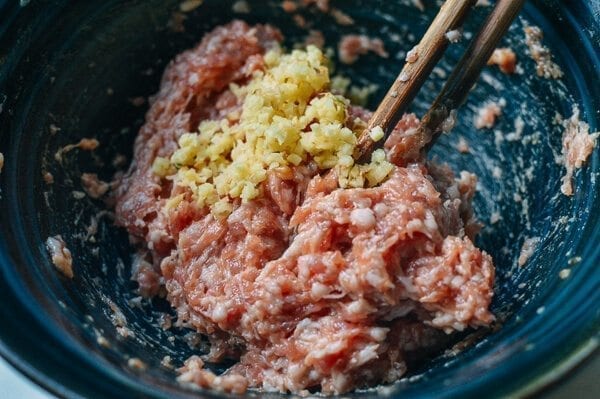 Shanghai Wonton Soup, by bmeteor.aiodimecu.cf