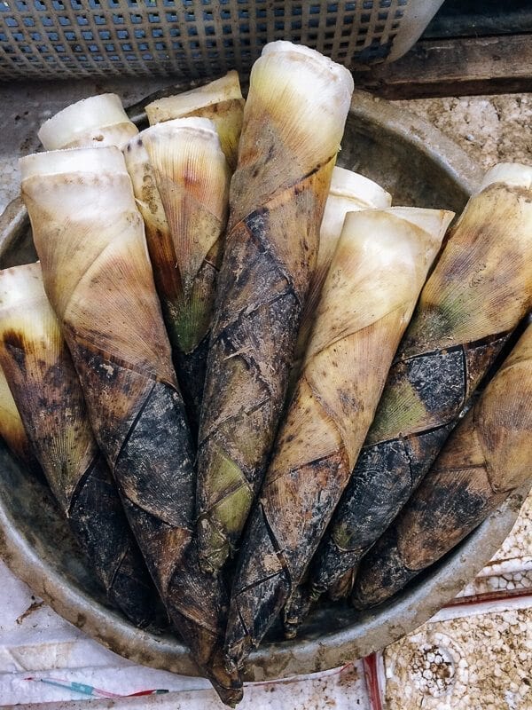 Braised Spring Bamboo Shoots (油焖笋), by bmeteor.aiodimecu.cf