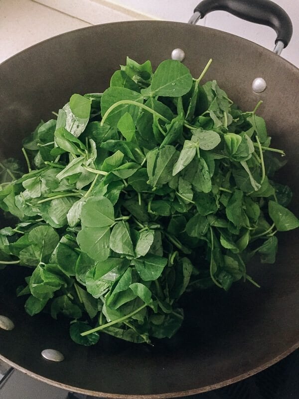 Sautéed Edible Clover (Chao Tou - 炒头) wok with clover, by bmeteor.aiodimecu.cf
