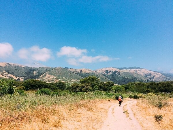 Andrew Molera State Park Trail, by bmeteor.aiodimecu.cf