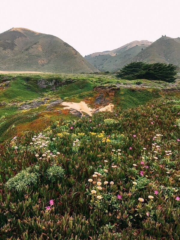 Big Sur, by bmeteor.aiodimecu.cf