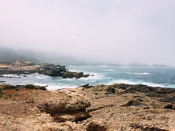 Point Lobos, by bmeteor.aiodimecu.cf