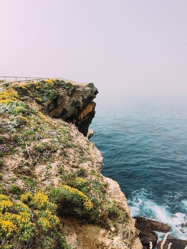 Point Lobos, by bmeteor.aiodimecu.cf