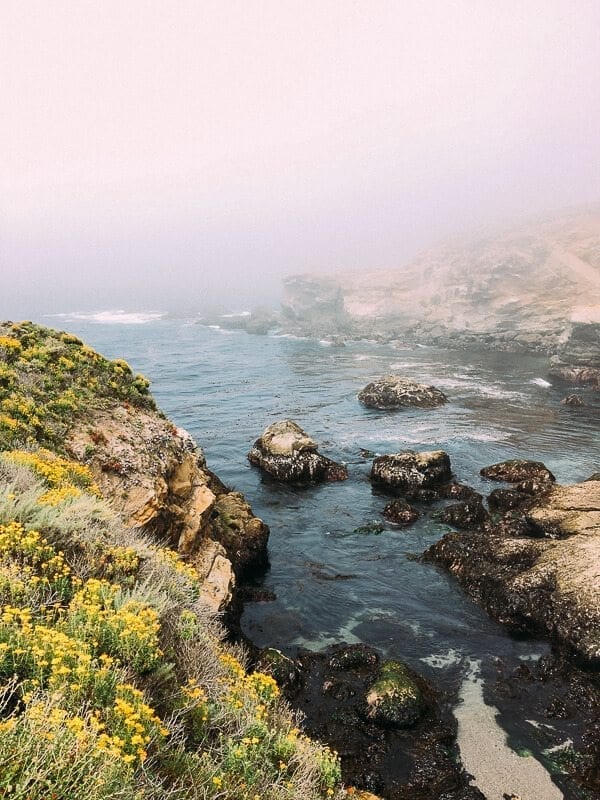 Point Lobos, by bmeteor.aiodimecu.cf