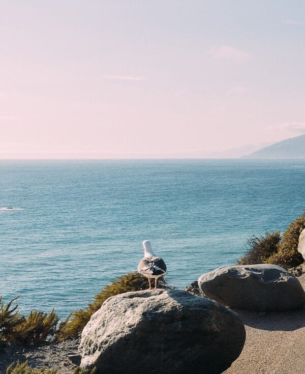Pacific Coast Highway, by bmeteor.aiodimecu.cf