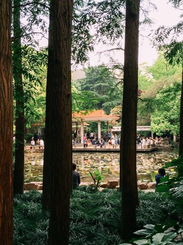 Seeking Love in Shanghai: The People’s Park Matchmaking Corner, by bmeteor.aiodimecu.cf