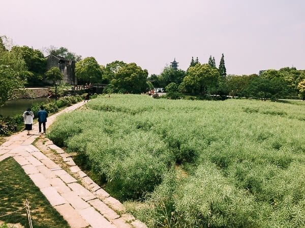 Wuzhen, by bmeteor.aiodimecu.cf