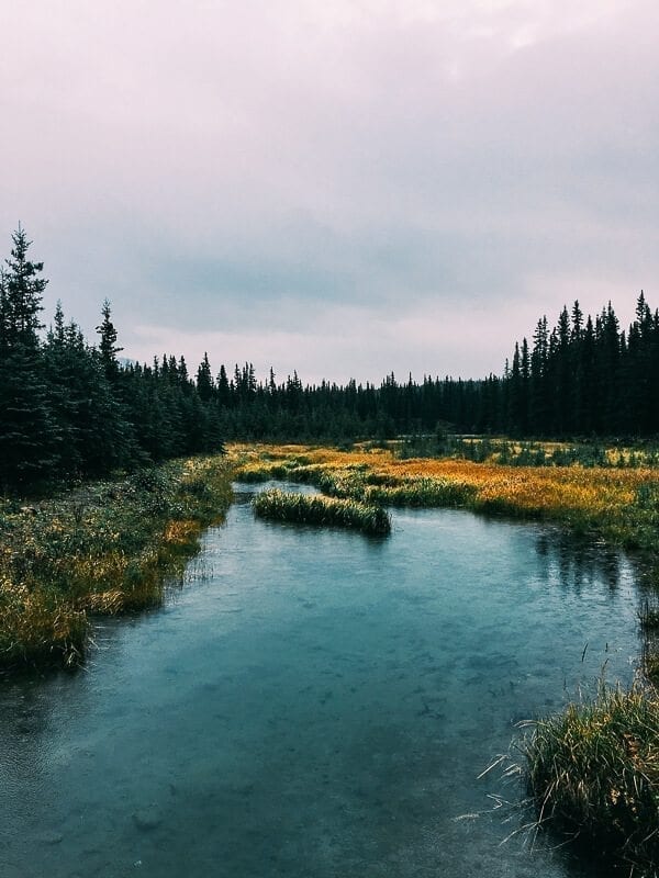 Horseshoe Lake 