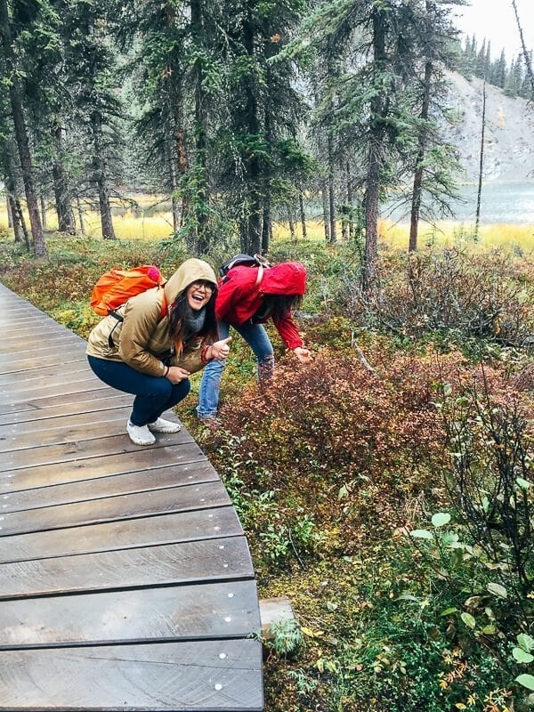 alaska-trip-7