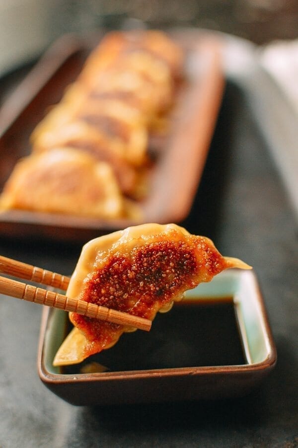 Japanese Gyoza Dumplings, by bmeteor.aiodimecu.cf