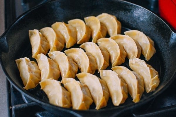 Japanese Gyoza Dumplings, by bmeteor.aiodimecu.cf