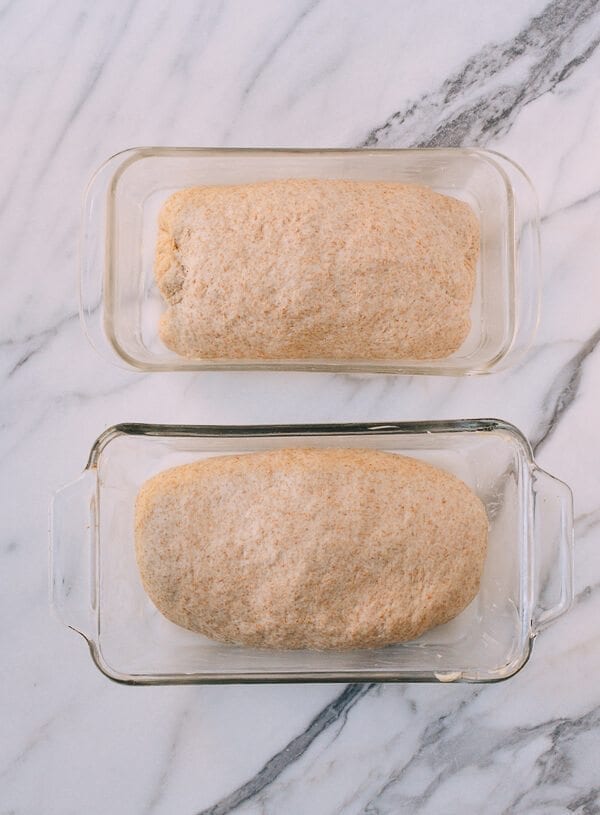 Perfect Whole Wheat Bread, by bmeteor.aiodimecu.cf