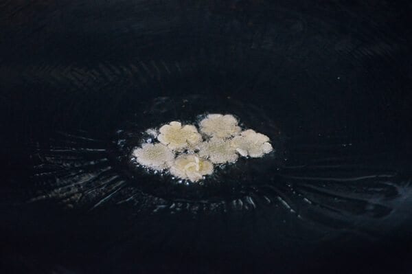 Chinese Seafood Bird’s Nest, by bmeteor.aiodimecu.cf