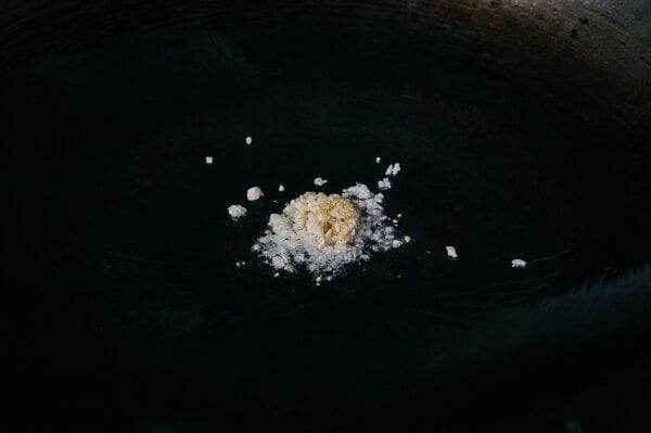 Takeout-Style Broccoli with Garlic Sauce, by bmeteor.aiodimecu.cf