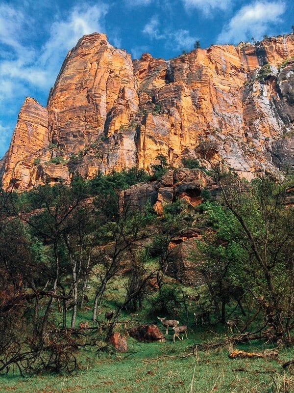Zion National Park, by bmeteor.aiodimecu.cf