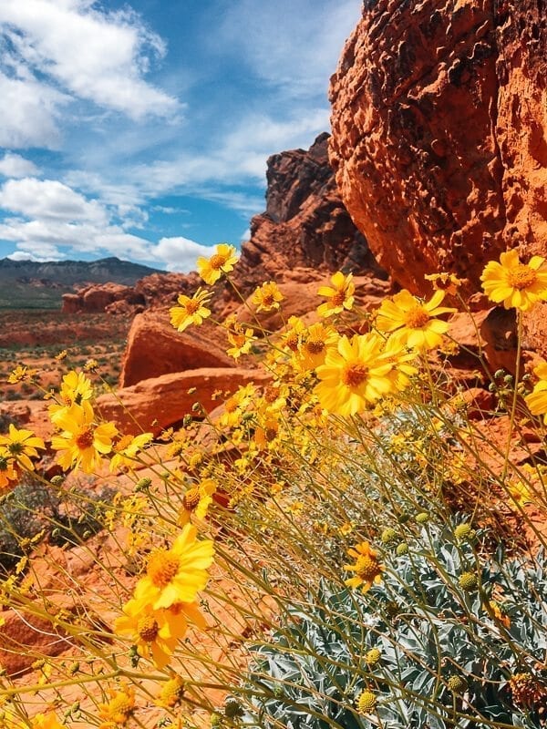 Valley of Fire State Park, by bmeteor.aiodimecu.cf