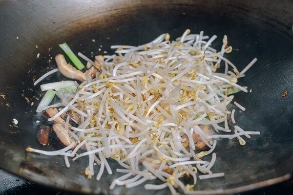 Chicken and Bean Sprouts, by bmeteor.aiodimecu.cf