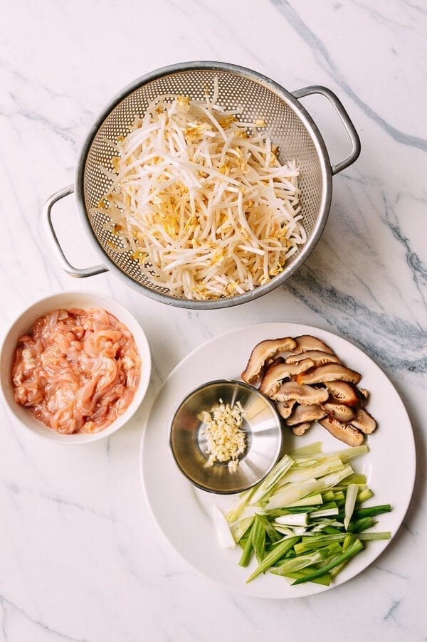 Chicken and Bean Sprouts, by bmeteor.aiodimecu.cf