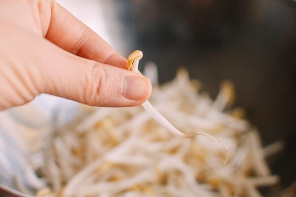 Chicken and Bean Sprouts, by bmeteor.aiodimecu.cf