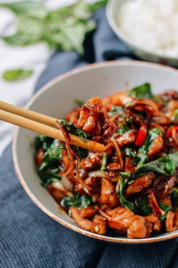 Thai Chicken Stir-fry with Basil & Mint, by bmeteor.aiodimecu.cf
