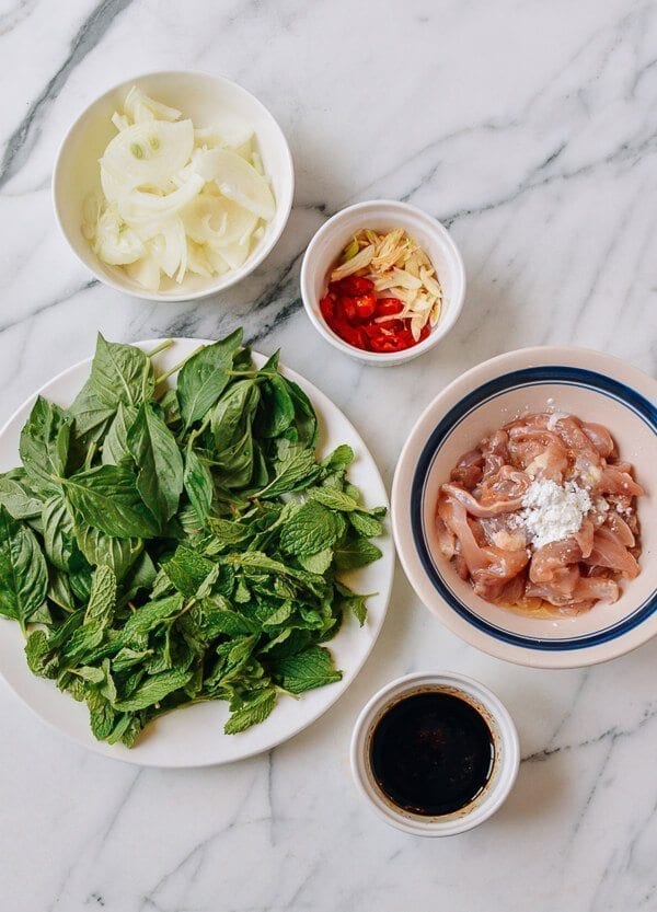 Thai Chicken Stir-fry with Basil & Mint, by bmeteor.aiodimecu.cf
